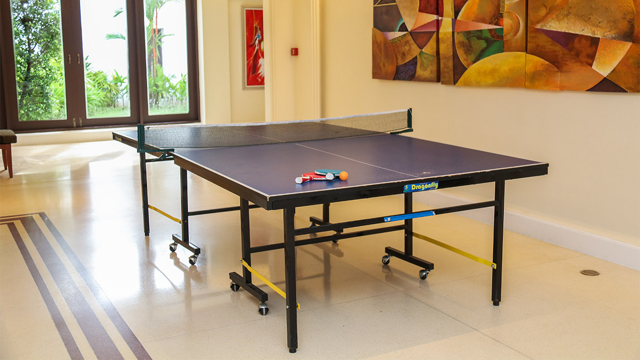 Table Tennis